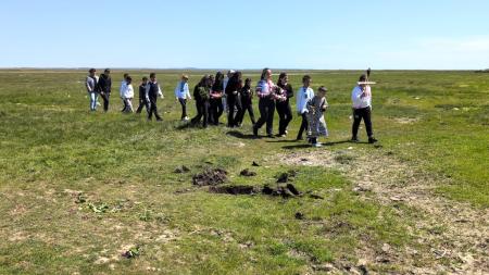 Caloian | Foto Muzeul Național al Agriculturii