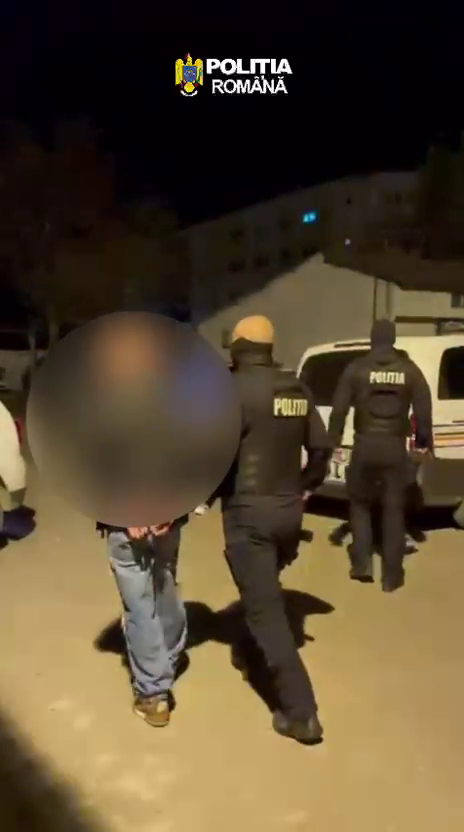 Cercetati Incendiere Facaeni (2)