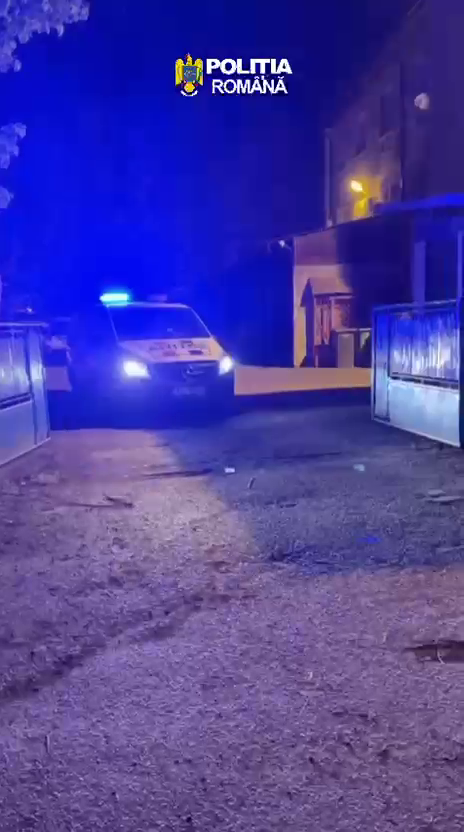 Cercetati Incendiere Facaeni (3)