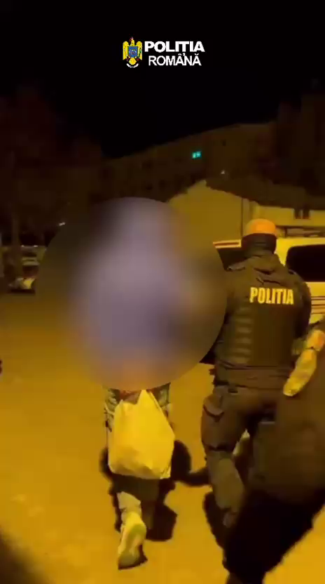 Cercetati Incendiere Facaeni (4)