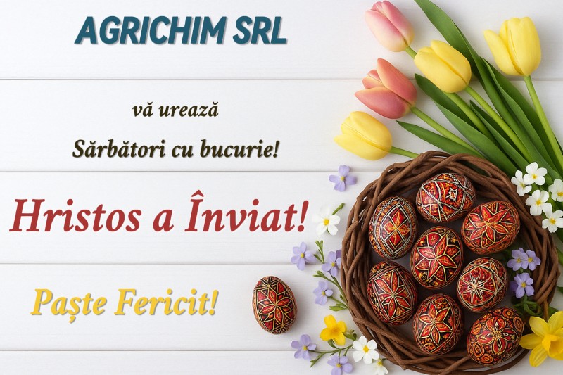 Feli (1)