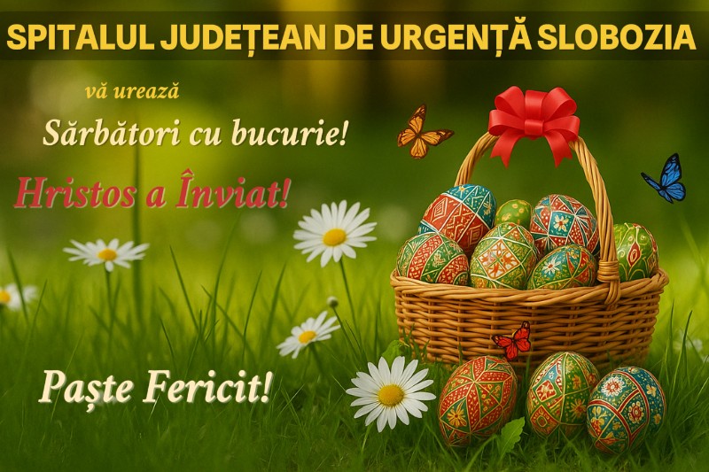 Feli (3)