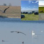 Kitesurfing Fundata Ialomita