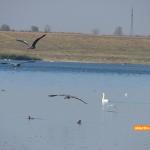 Lacul Fundata - Ialomitai - 01