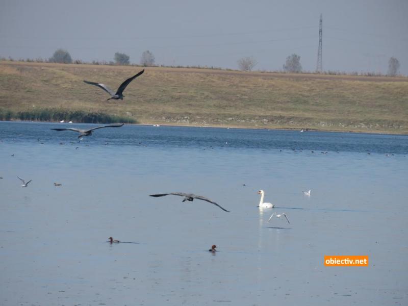 Lacul Fundata - Ialomitai - 01