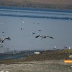 Lacul Fundata - Ialomitai - 02