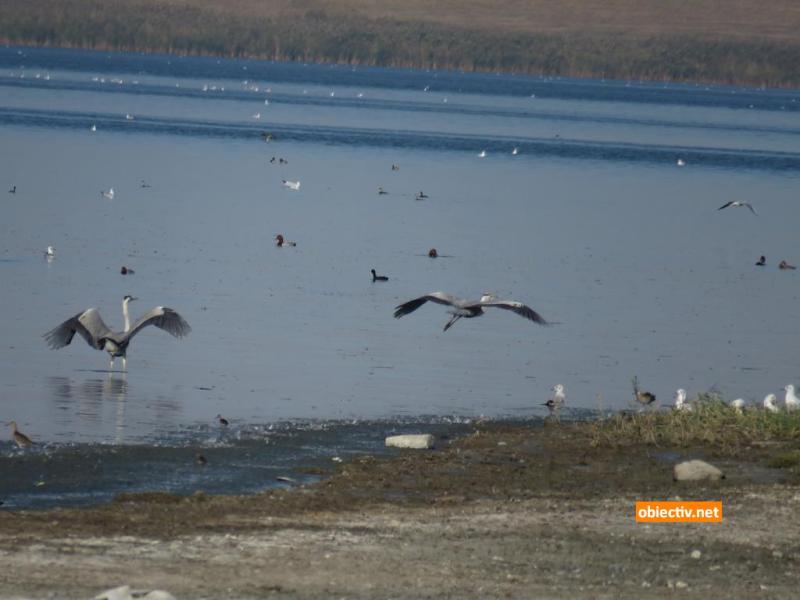 Lacul Fundata - Ialomitai - 02