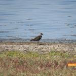 Lacul Fundata - Ialomitai - 03