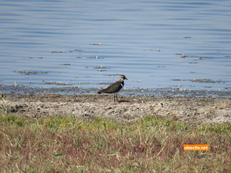 Lacul Fundata - Ialomitai - 03