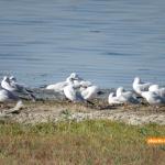 Lacul Fundata - Ialomitai - 04