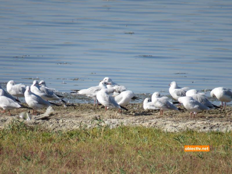 Lacul Fundata - Ialomitai - 04