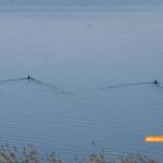 Lacul Fundata - Ialomitai - 05