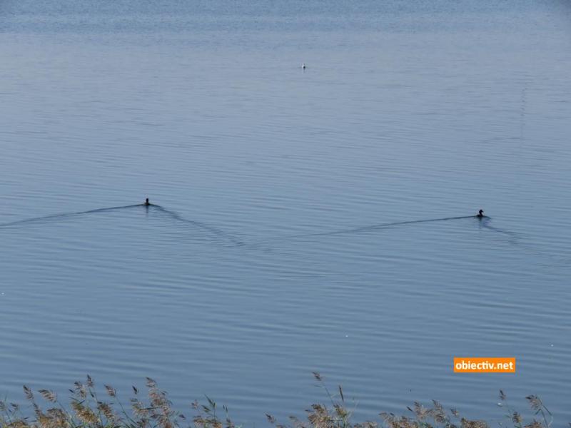 Lacul Fundata - Ialomitai - 05