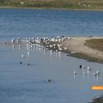 Lacul Fundata - Ialomitai - 06