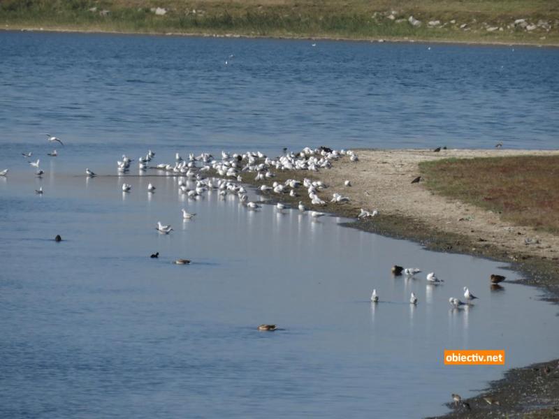 Lacul Fundata - Ialomitai - 06