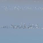 Lacul Fundata - Ialomitai - 08