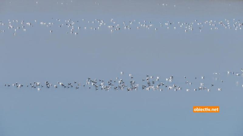 Lacul Fundata - Ialomitai - 08