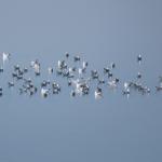 Lacul Fundata - Ialomitai - 09