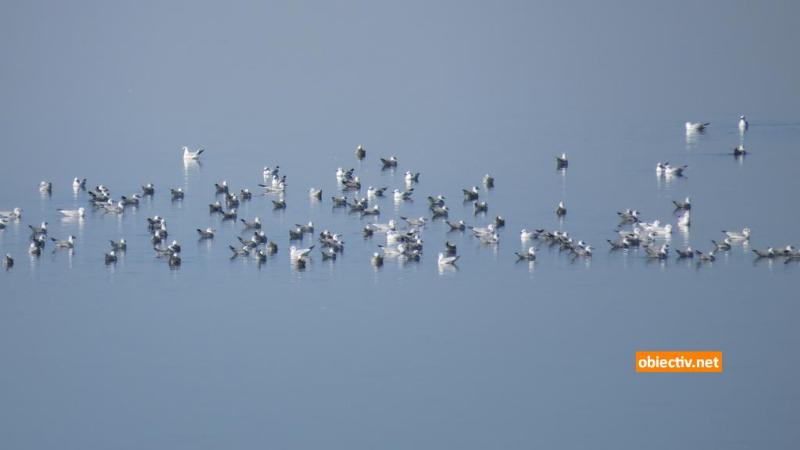 Lacul Fundata - Ialomitai - 09