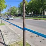 Slobozia Asfalt Surpat Bulevardul Unirii (2)