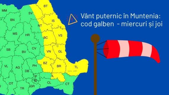 Avetizare Cod Galben