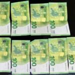 Bani Euro Valuta
