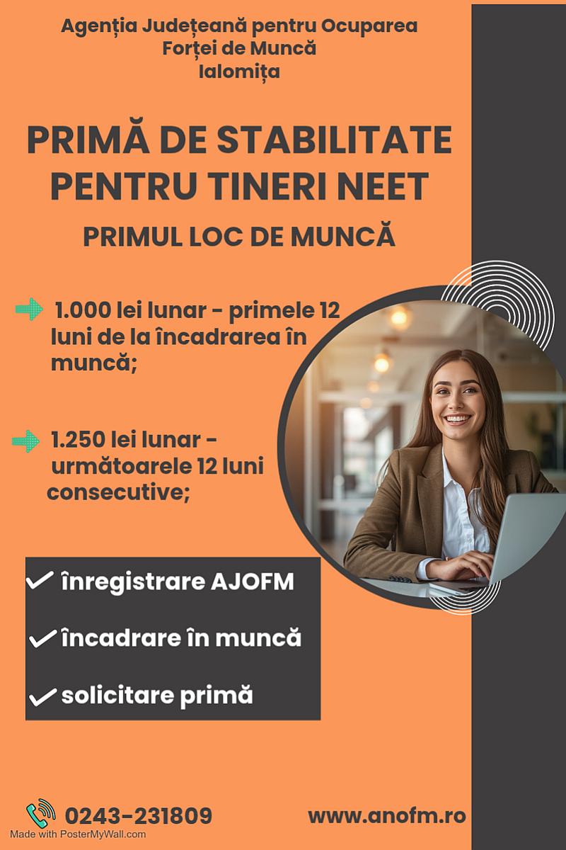 Prima Stabilitate Tineri Neet