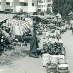 Slobozia 1993 - Foto Muzeul National Al Agriculturii - 02