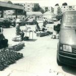 Slobozia 1993 - Foto Muzeul National Al Agriculturii - 14