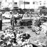 Slobozia 1993 - Foto Muzeul National Al Agriculturii - 21
