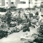 Slobozia 1993 - Foto Muzeul National Al Agriculturii - 24