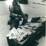 Slobozia 1993 - Foto Muzeul National Al Agriculturii - 26