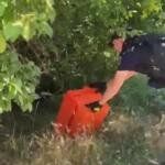 Dihor Slobozia 5