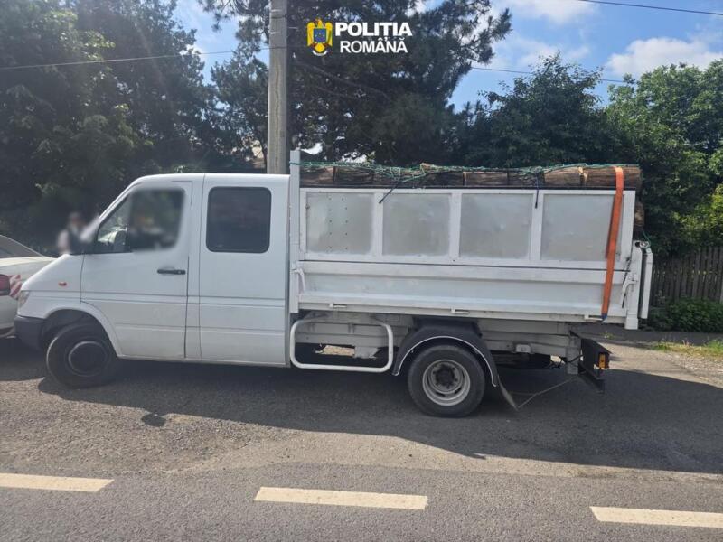 Transport Lemne - 01