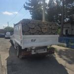 Transport Lemne - 02