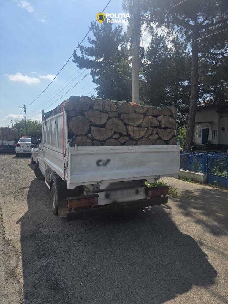 Transport Lemne - 02