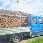 Transport Lemne - 03