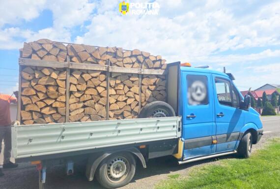 Transport Lemne - 03