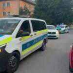 Actiuni Politie Fetesti - 02