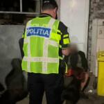 Actiuni Politie Fetesti - 07