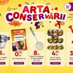 Aurora Multimarket - Arta Conservarii