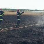 Incendiu Vegetatie