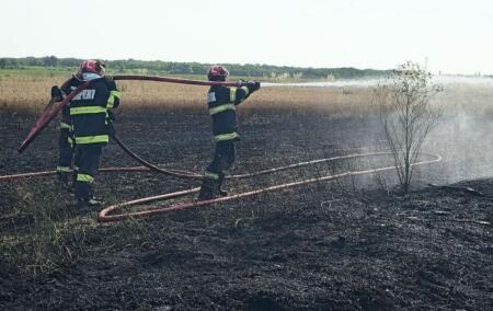 Incendiu Vegetatie