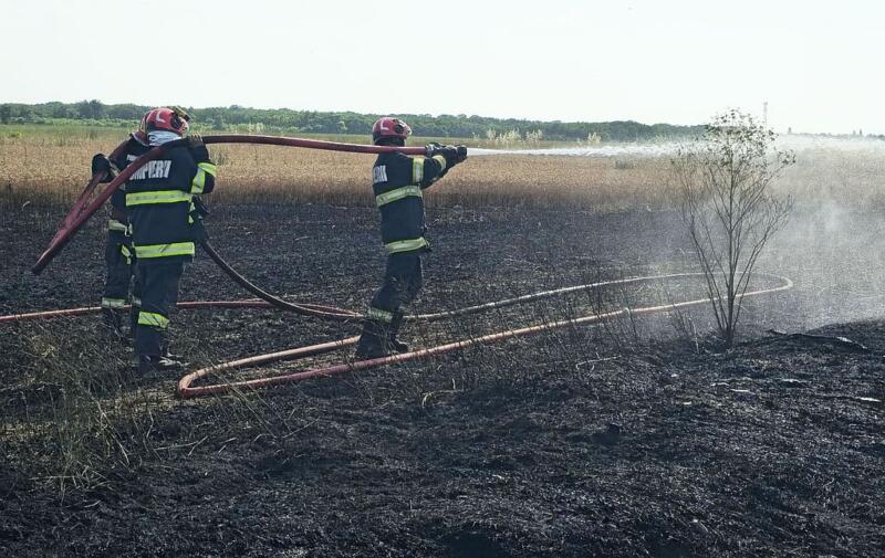 Incendiu Vegetatie