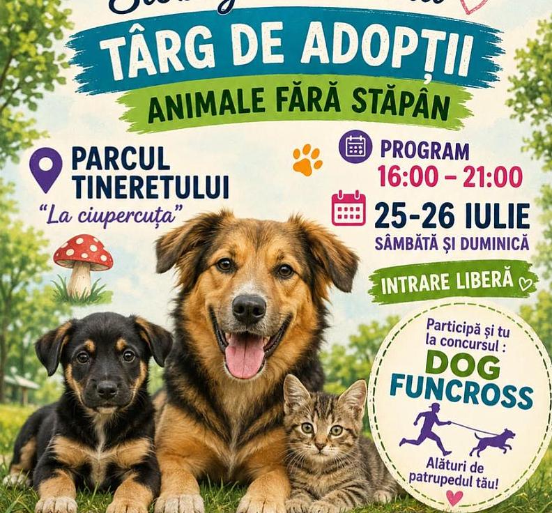 Targ De Animale Slobozia