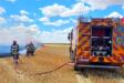 Vegetatie Incendiu