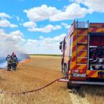 Vegetatie Incendiu