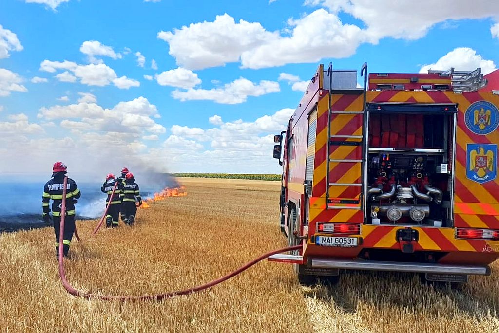 Vegetatie Incendiu