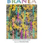 Expozitie Adrian Branea