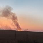 Incendiu Vegetatie